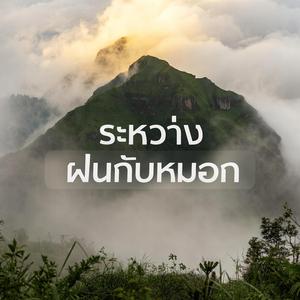 ระหว่างฝนกับหมอก