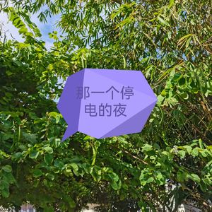 那一个停电的夜(洛继版)