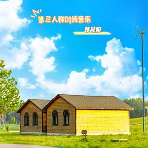 第三人称（DJ晨阳版）