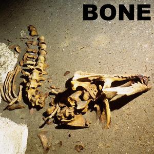 Bone