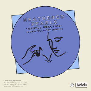 Gentle Practice (Loko Velocet Remix)