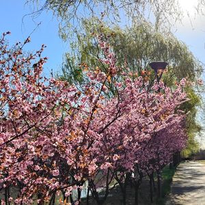 自诩周全（翻唱）