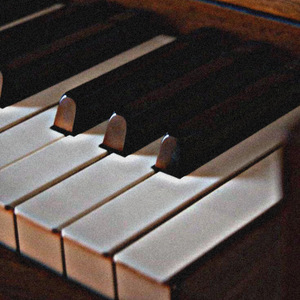 Kara Sevda - İntikam Yemini