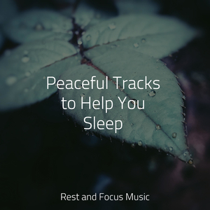 Meditations