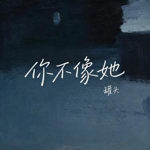 你不像她