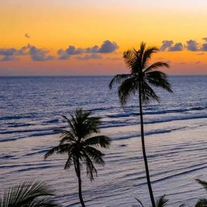 《蜗牛写给天空的情书》