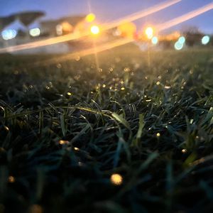 十六岁（prod.NeonMusic)