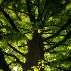 Satu Persatu Janjimu Hilang Seperti Angin, Tapi Luka yang Kamu Tinggalkan Terlalu Nyata
