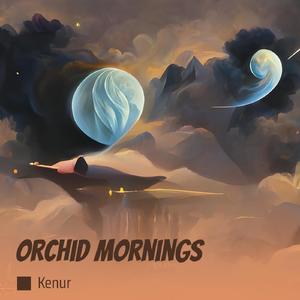 Orchid Mornings