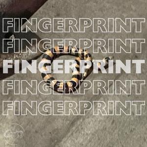 fingerprint