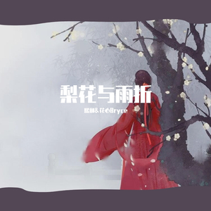 梨花与雨折