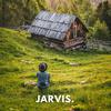 Jarvis - I've been thru ur luv