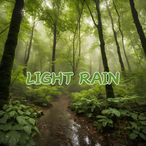 Miami Mirage: Gentle Rain Sounds for Relaxation