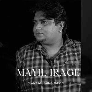 Mayil Irage (feat. Sudarshan Arumugam) (Acoustic version)