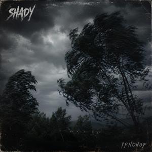 Shady
