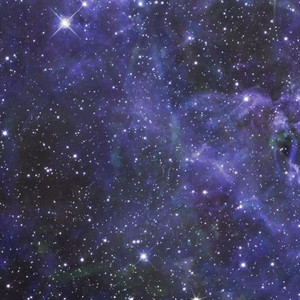 I Talked To The Stars
