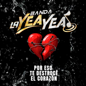 Por Eso Te Destrocé El Corazón