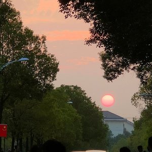 Melody(Prod EVOMUSIC)