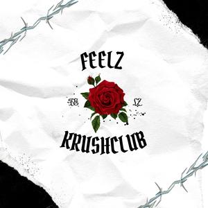 FEELZ (KRUSHCLUB??)