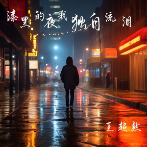 漆黑的夜我独自流泪