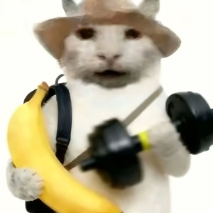 再重逢的街道 心跳比我先认出你