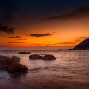 浜辺の歌（翻自 村幸子）