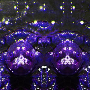 Downbound and Drowned