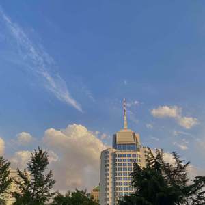 那年初夏