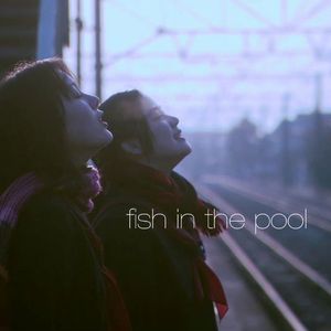 fish in the pool