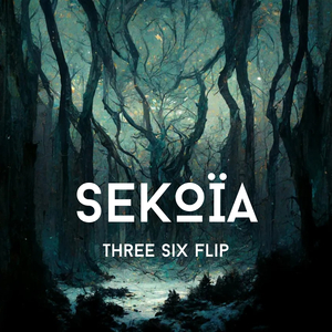 Three Six Flip