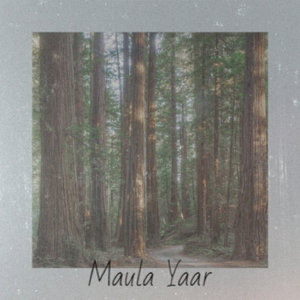 Raga Malkauns - Gat And Drut