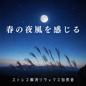 焚き火が灯す冬の安らぎ
