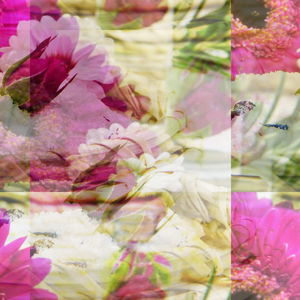 Field Bee