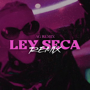 Ley Seca (Remix)