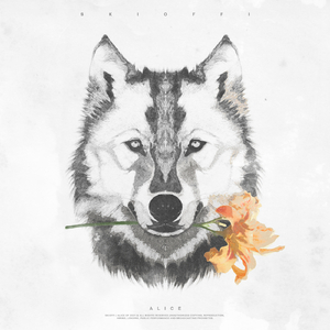 Gli occhi dell'albero