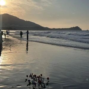 最后的礼物（Last gift）