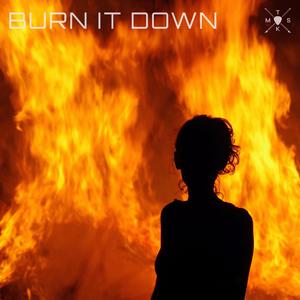 BURN IT DOWN