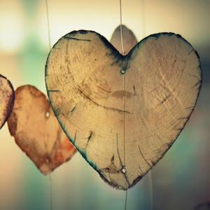 The Last Flame (Ngọn lửa yêu thương)