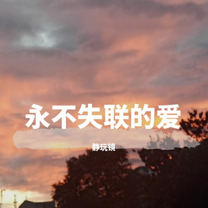 永不失联的爱