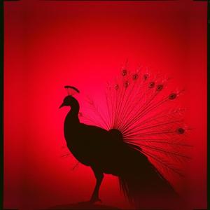 致命的优雅（Deadly Grace）