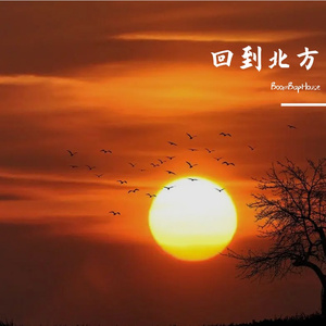 回到北方