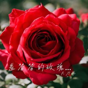 羞答答的玫瑰静悄悄地开（Cover 孟庭苇）