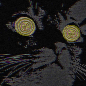 Hypnodancer (Slowed)