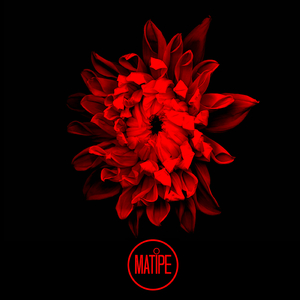 Track01 (Original Mix)