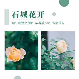 石城花开 伴奏