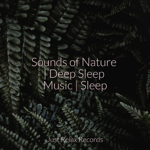 Whisperless Melodic Bliss