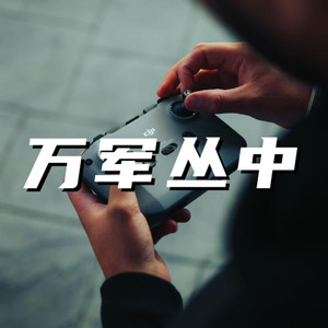 万军丛中 陷阵杀敌 史诗战斗
