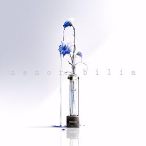 ミルククラウン・オン・ソーネチカ