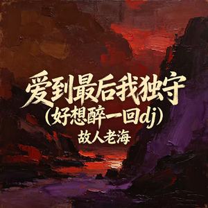 爱到最后我独守（好想醉一回dj）
