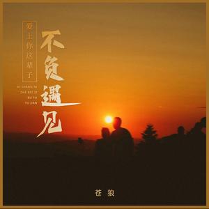 爱上你这辈子不负遇见